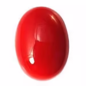 CORAL STONE